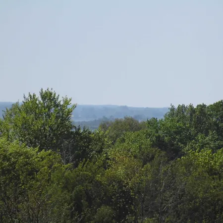 Residenz Bellevue Whg 22 Appartement